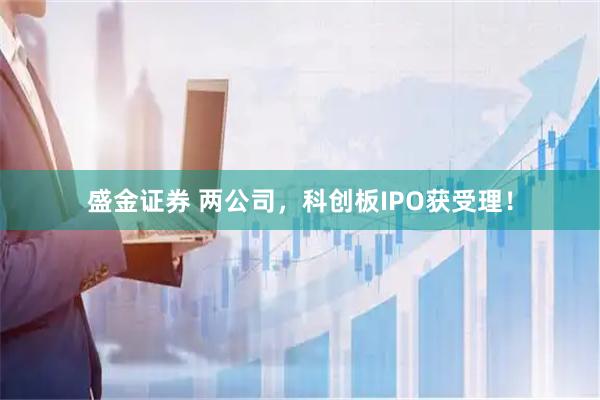 盛金证券 两公司，科创板IPO获受理！