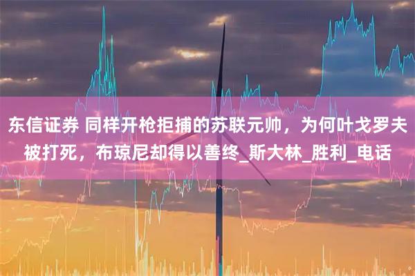 东信证券 同样开枪拒捕的苏联元帅，为何叶戈罗夫被打死，布琼尼却得以善终_斯大林_胜利_电话