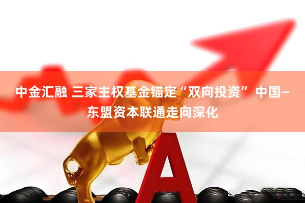 中金汇融 三家主权基金锚定“双向投资” 中国—东盟资本联通走向深化