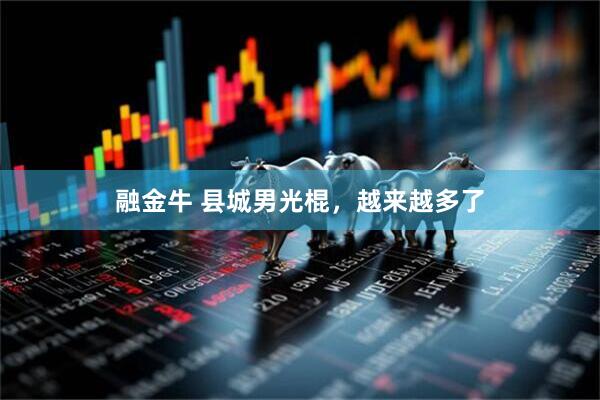 融金牛 县城男光棍，越来越多了