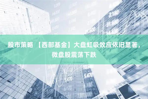 股市策略 【西部基金】大盘虹吸效应依旧显著，微盘股震荡下跌